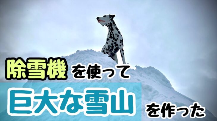 除雪機で巨大な雪山作った結果、得意の運動神経を発揮する犬【犬と遊ぶ】