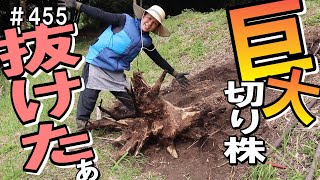 遂に！切り株の穴に通った竹の根を気合いで切って抜根成功だーー！