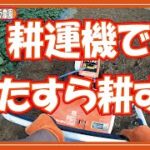 耕します！ひたすら耕運機【無農薬・無肥料・野菜栽培】