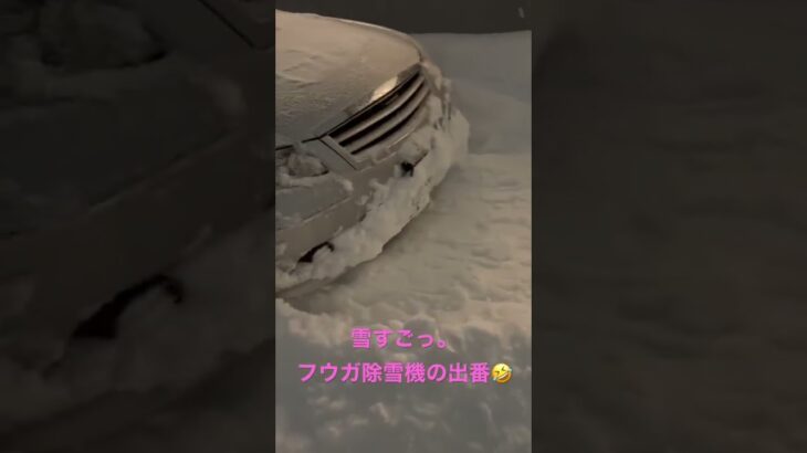 #北海道 #大雪 #フーガ #除雪機 出番です🤣 ってか除雪機じゃなくて、除雪車ですね✋