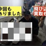 コラボ企画「アポなしバイク購入企画２九州へ」〜昭和のバイクを新車で買える？〜