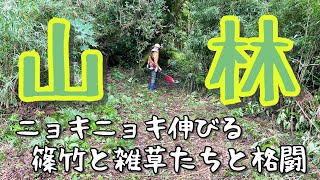 山林に生える篠竹や雑草を草刈り機と剪定バサミで除去