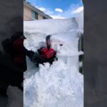 在这里生活必备的家庭小型除雪機