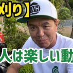 【草刈り】本人は楽しい動画〜