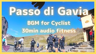 【エアロバイク30分音楽景色】[自転車旅] ドロミテ山脈編：ガヴィア峠のダウンヒル Passo di Gavia Descent 14.64km, 1142m-
