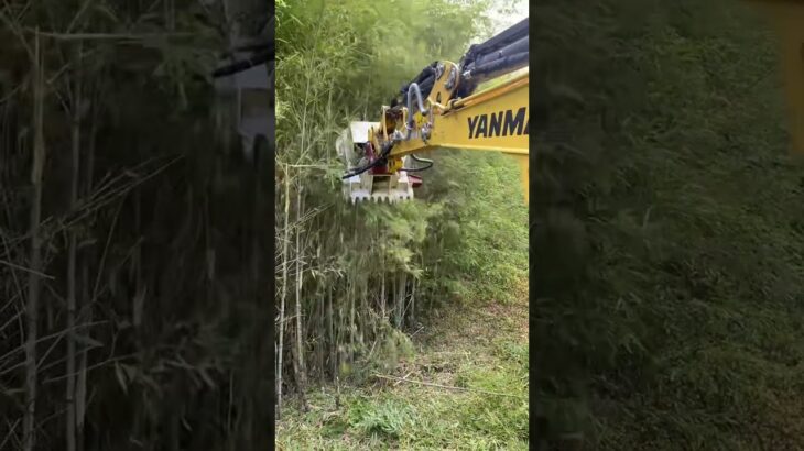竹の粉砕　3tユンボ　草刈り　カッターマンKM30　アースマシン