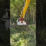 木を切る　3tユンボ　草刈り　竹の粉砕　カッターマンKM30　アースマシン