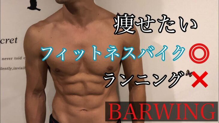 【フィットネスバイク】BARWING