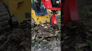 Fecon STUMPEX #johndeere #fecon #stumpremoval #stumpgrinding #stumpplaner #stumpex #shorts