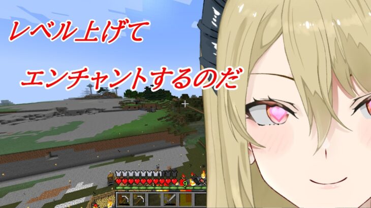 【マイクラ】穴掘りとレベル上げと雑談と