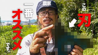 農家がおすすめする草刈機の刃が最強すぎてヤバい