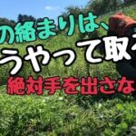 【草刈機】カッターを付けただけじゃダメ‼︎ツルが巻き付く時は、こう対処する‼︎手を出したら絶対ダメ‼︎巻き付き防止カッターを最大限に活かす草刈りの方法‼︎大豆畑の周りの草を資源として活用‼︎