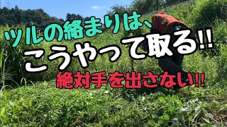 【草刈機】カッターを付けただけじゃダメ‼︎ツルが巻き付く時は、こう対処する‼︎手を出したら絶対ダメ‼︎巻き付き防止カッターを最大限に活かす草刈りの方法‼︎大豆畑の周りの草を資源として活用‼︎