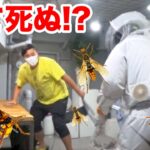 【危険】いきなり部屋をハチだらけにするドッキリしたら大爆笑の反応が出たwww