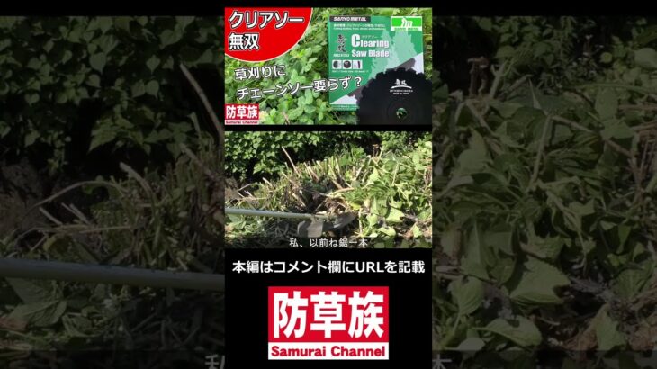 チェーンソー不要？クリアソー無双！花木農家にもおススメ！【草刈機】【刈払機】【防草族】　#Samurai　#shorts