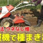 自然農法　ウネなし畑　耕運機で種まき準備