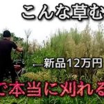 【自走式草刈機】高コスパモアの刈りっぷり。