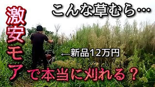 【自走式草刈機】高コスパモアの刈りっぷり。