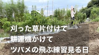 刈った草片付けて耕運機かけてツバメの飛ぶ練習見る日