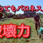 【自走式草刈機】バロネスを30分使って刈れる草の量。