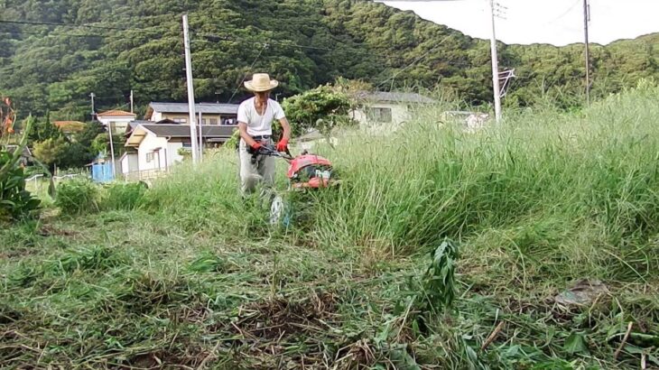 スパイラルローターで腰の高さまで伸びた雑草を刈る様子（サラダFF500)