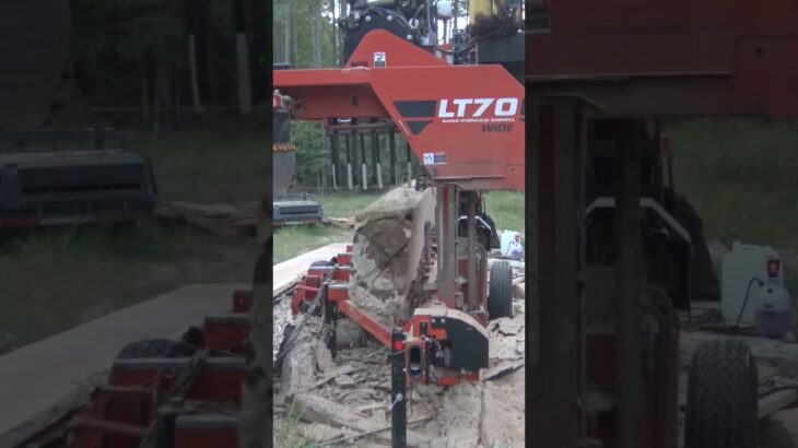 How do you roll logs on a sawmill #hydraulics #logs #heavylifting