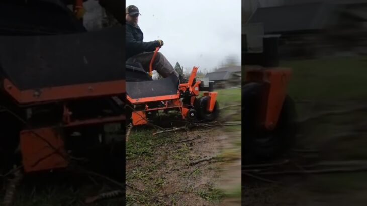 Lawn Mower? Wood Chipper? Same thing! #shorts #lawn #machine #badboy #lumberjack