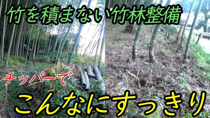 ≪竹林整備≫カルイのチッパーを使用して素敵な竹林ライフ！