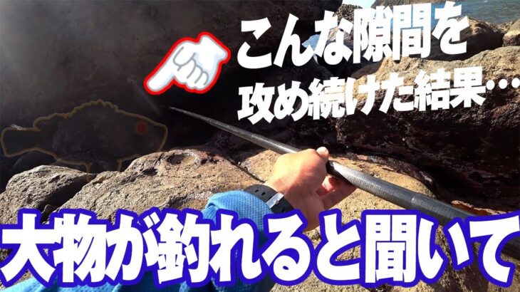 “穴掘り”という釣りに初挑戦。水深数十センチの暗闇から衝撃のサイズが現れ…穴釣りとはまた違う、この釣りには独特な魅力がある。