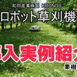 ロボット草刈機『クロノス』導入実例紹介　果樹園ver