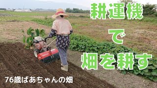 20『新！耕運機で畑を耕す』の巻…ミニ白菜の苗植え