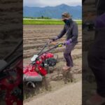 Amazing Onion Cultivator #satisfying #short