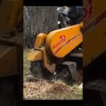 How to get rid of stumps easily