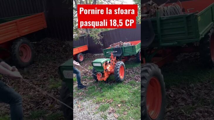 Prezentare tutorial pornire la sfoara motoagricola motocultor tractoraș 4×4 diesel Pasquali 18,5 CP