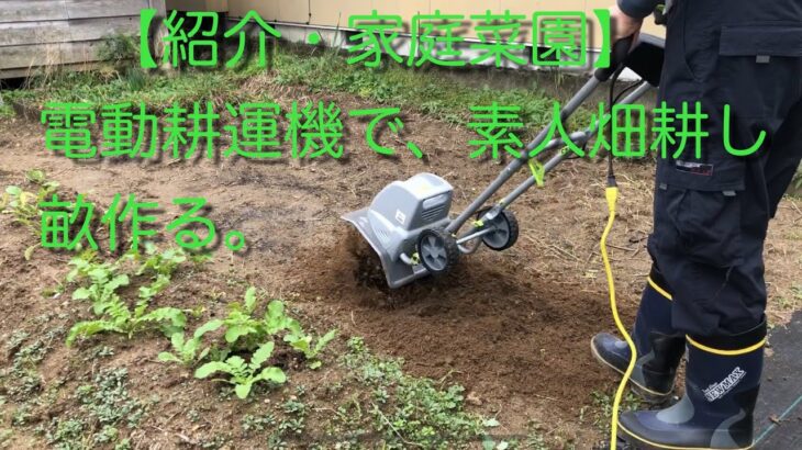 【紹介・家庭菜園】電動耕運機で、素人畑耕し畝作る。🇯🇵 cultivator