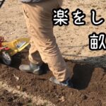 体への負担軽減と時間短縮の為、こまめを使って台形の畝が出来ないか考えました。