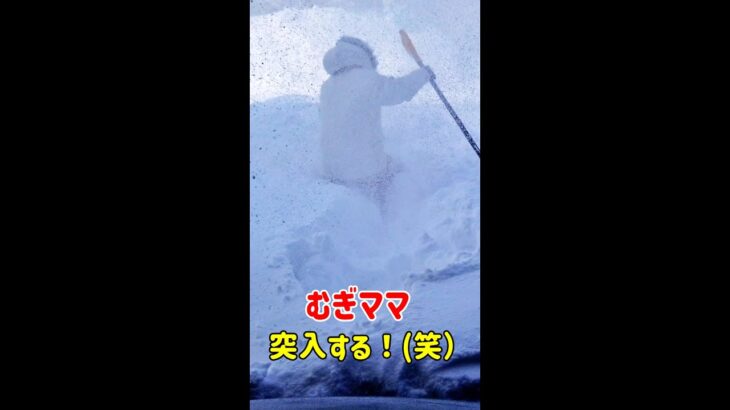 除雪機の巻き上げる雪に突入するむぎママ！(笑）