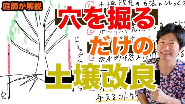 水圧機や穴を掘るだけでできる土壌改良についての話【庭師が解説】