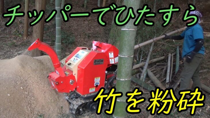 竹をただただ粉砕する動画です。≪爆音注意≫