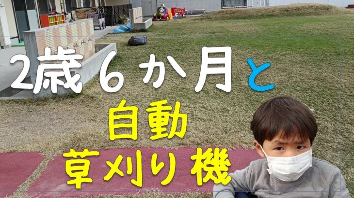 【子育て】2歳6か月と自動草刈り機の出会い