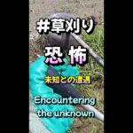 ＃Shorts #マムシ #刈払機 Encountering the unknown