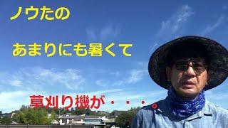 【ノウたの】の紹介です。あまりにも暑くて草刈り機のエンジンが起こらない・・・・。