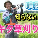 マキタの草刈り機で草を刈ってみた！すごく茂っている草はマキタの噴霧機で散布してみた！