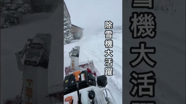 【ヤンマー小型除雪機】早速大活躍！