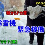 朝からいきなりのドカ雪！青い除雪機緊急稼働です！我が家の雪捨て場・・今年は拡張します！ (笑）