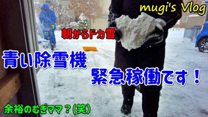 朝からいきなりのドカ雪！青い除雪機緊急稼働です！我が家の雪捨て場・・今年は拡張します！ (笑）