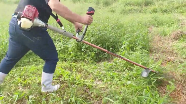 草刈り機の名人　牛飼いは草刈がめちゃくちゃ上手だ