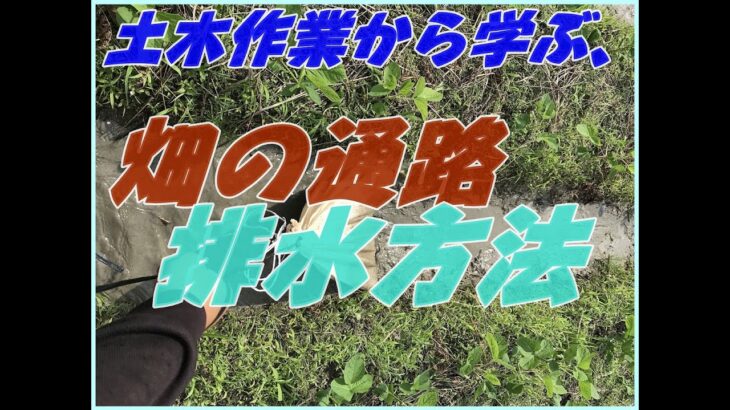 【畑】排水改善が出来なかった時!!こんな方法で梅雨時期、長雨を乗り越えよう!!vol①#稲屋の田舎チャンネル