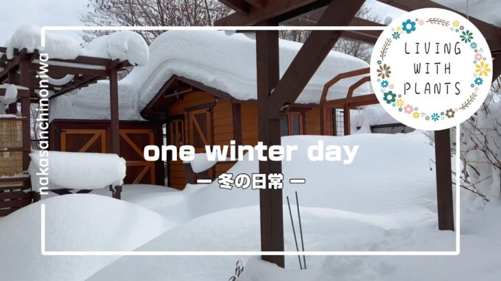 [除雪] 冬の日常2023  今年も大雪きましたー　one winter day