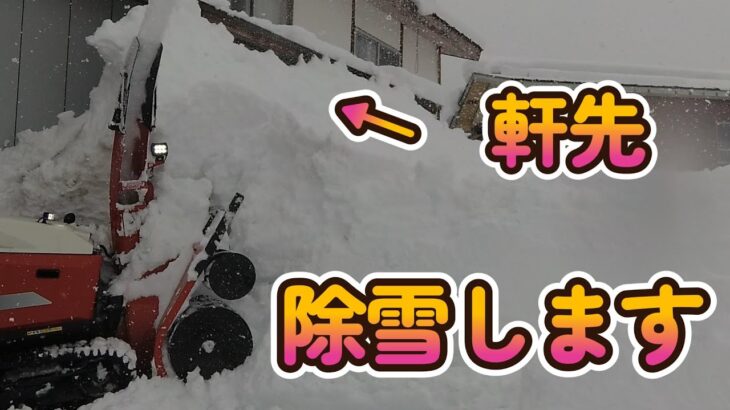 【軒先除雪】特別豪雪地帯の日常　2023年1月4日